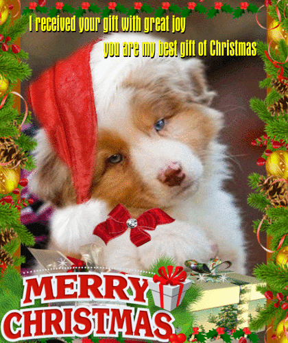 I Received Your Christmas Gift. Free Thank You eCards, Greeting Cards | 123 Greetings