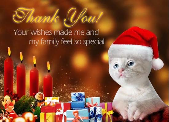Cute Kitty Christmas Thank You Wishes Free Thank You eCards | 123 Greetings