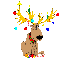 Happy Christmas!