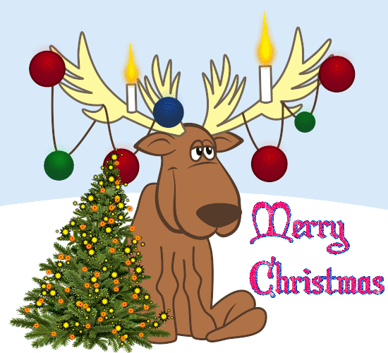 Merry Christmas With Christmas Lights. Free Christmas Tree Light Day eCards  | 123 Greetings