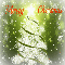 Here%92s A Sparkling Christmas Tree.