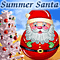 Summer Christmas Wishes!