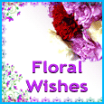 Send Floral Wishes Greetings!
