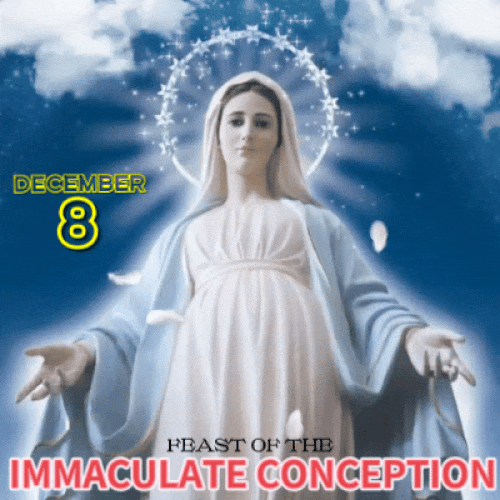 Immaculate Conception Day.