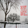Winter Thoughts.
