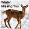 Missing You So Much, This Winter.