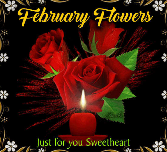 February Flowers For You Sweetheart.