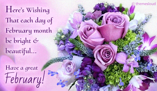 February Flowers For Beautiful Month Free February Flowers Ecards