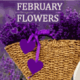 Beautiful Flowers & Lovely February!