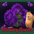 February Flowers For You My Dear.