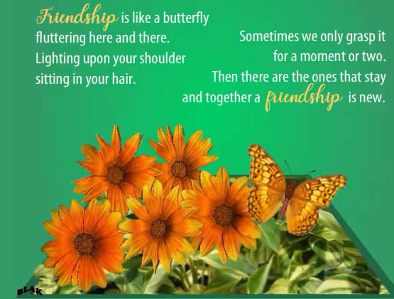 My Butterfly Friend. Free Intl. Friendship Month eCards, Greeting Cards ...