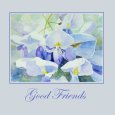 Good Friends (Wisteria).