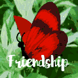 My Butterfly Friend.