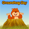 It's Groundhog Day!
