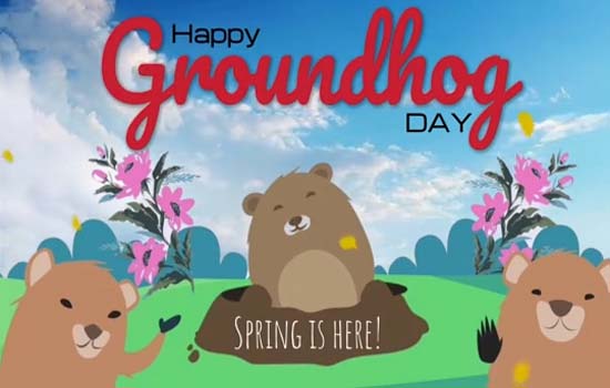 A Groundhog Day Ecard For You. Free Groundhog Day eCards, Greeting