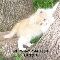 What Are Ya Doing Kitty?