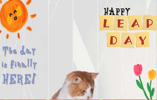 the-day-is-finally-here-free-leap-day-ecards-greeting-cards-123-greetings