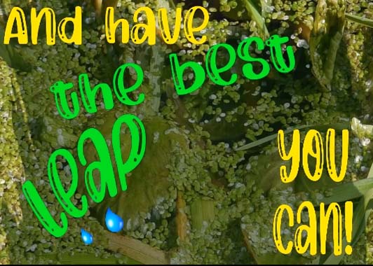 Hop To It! Free Leap Day eCards, Greeting Cards | 123 Greetings