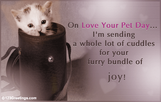 Image result for love your pet day gifs