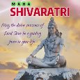 Maha Shivaratri Message For You.