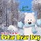 A Cute Polar Bear Day Card For You.