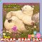 It%92s Your Day... Polar Bear Day!
