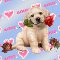 This Rose Is Specially For You.
