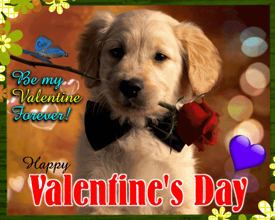 A Valentine Ecard For Your Love. Free Be My Valentine eCards | 123 Greetings