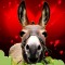 Donkey%92s Valentine Song For You.