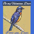 Be My Valentine, Brown Bird.