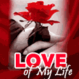 Love Of My Life!