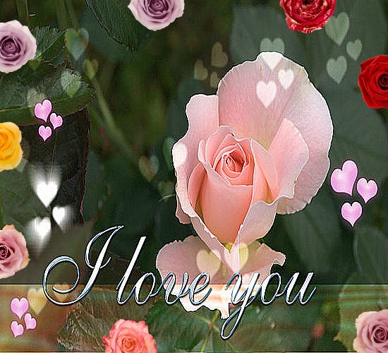 Best Of Roses For My Love. Free Flowers eCards, Greeting Cards 123