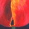 Red Tulip
