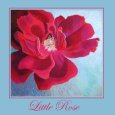 Little Rose.