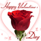 Valentine's Day [ Feb 14, 2024 ]
