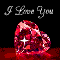 I Love You With All My Senses.