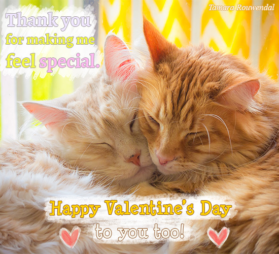 Thank You Valentine Cats. Free Thank You eCards, Greeting Cards | 123