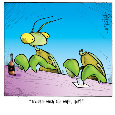 Mantis Spouce.