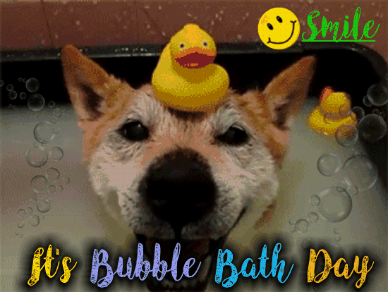 Doggy Taking A Bubble Bath!