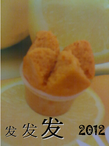 Fa Lunar New Year 2012 !