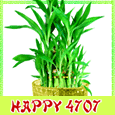 Business Greeting On Chinese New Year.