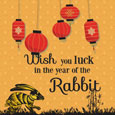 Year Of The Rabbit!