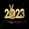 Golden Rabbit Chinese New Year.