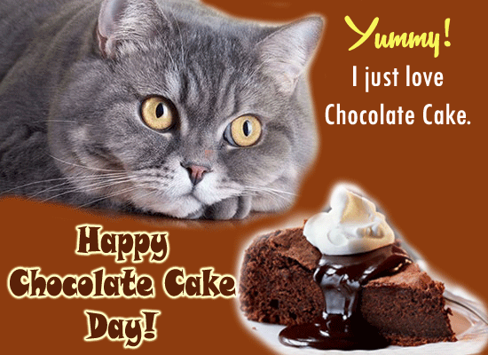 It’s Yummy&hellip; Free Chocolate Cake Day eCards, Greeting