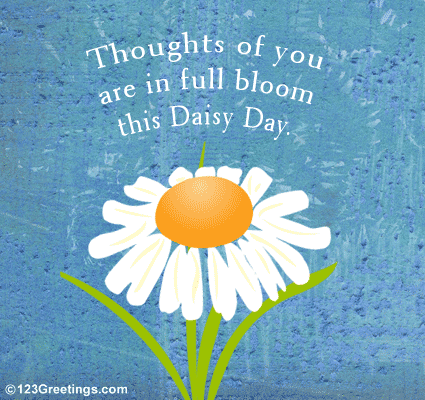 Blooming Thoughts...