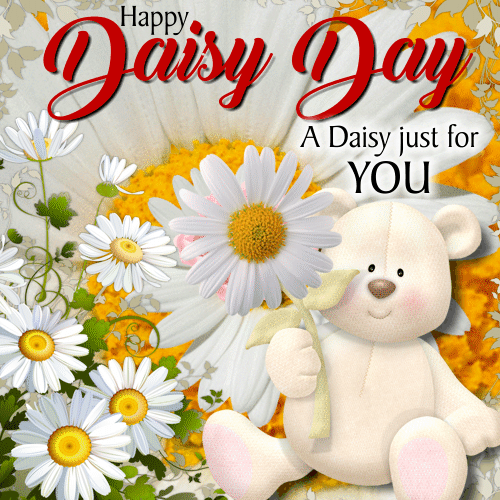 A Daisy Just For You.