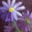 White Daisies In A Glass
