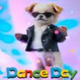 Let’s Groove Tonight!