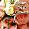 New Year Wish With Fresh Roses.
