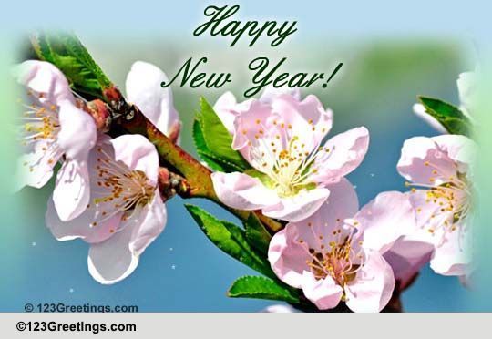 Happy New Year Wish With Flowers. Free Flowers eCards, Greeting Cards | 123 Greetings